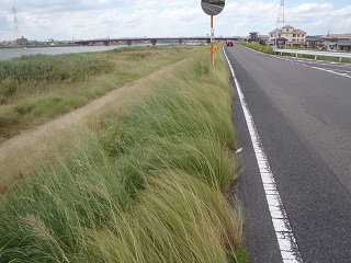 堤防調査風景(写真)